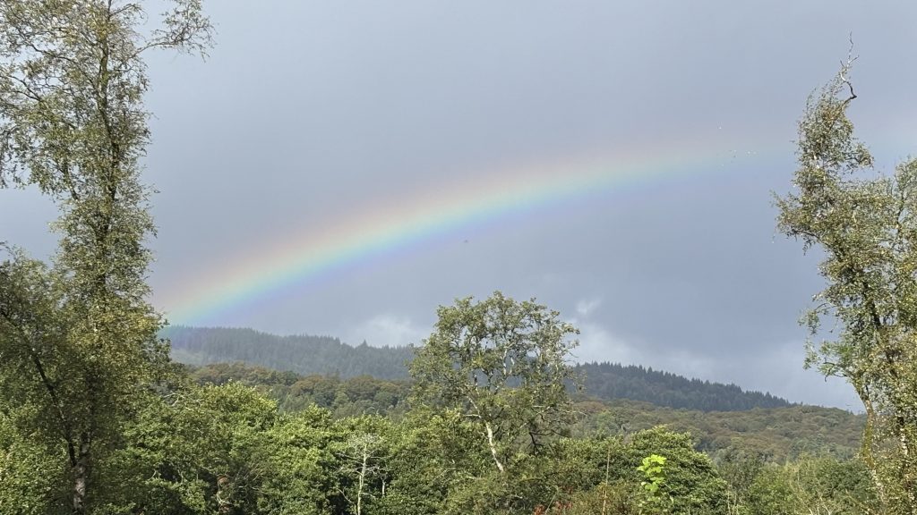 tower wood cottage rainbow