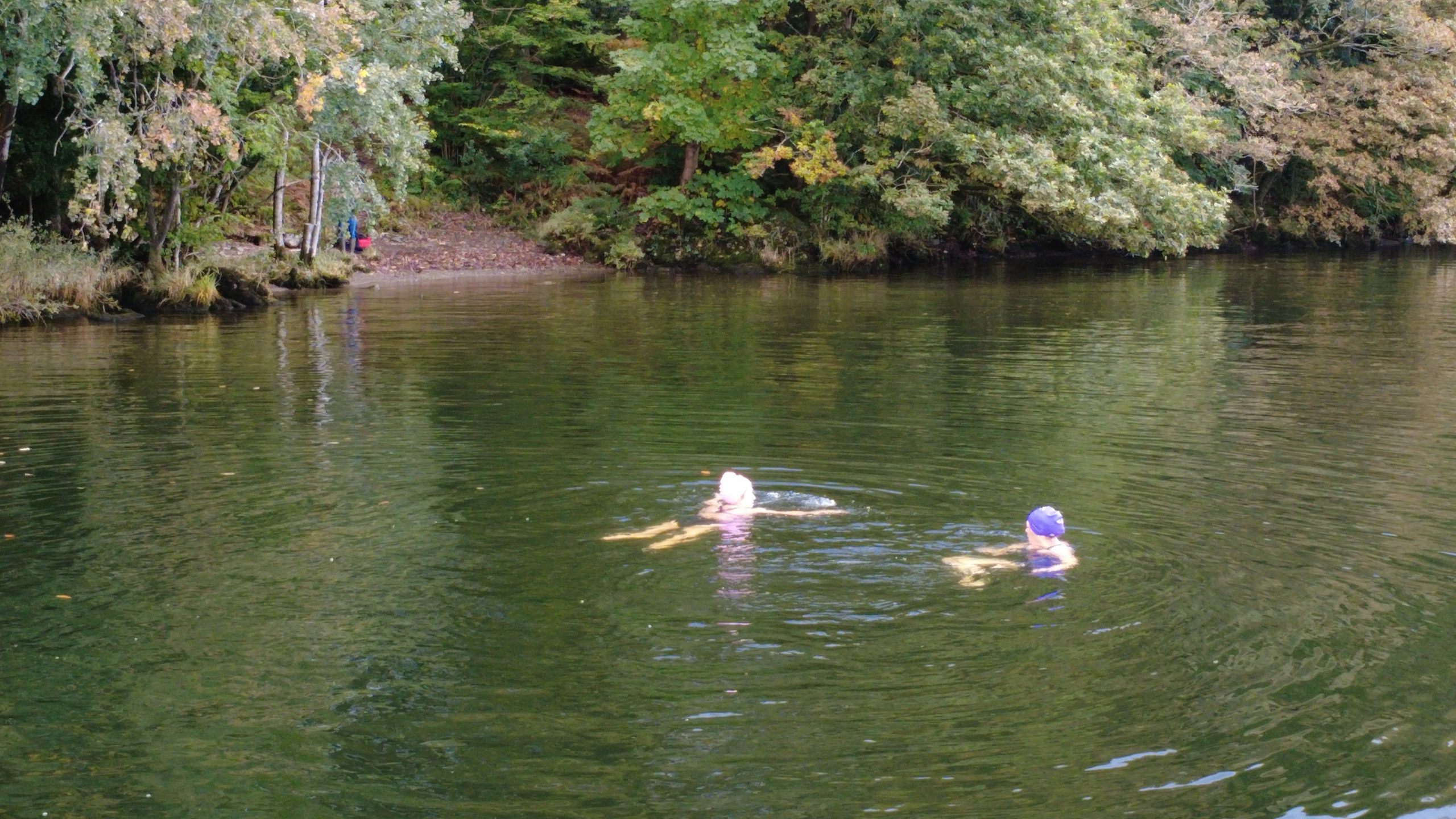 wild swim tower wood cottage